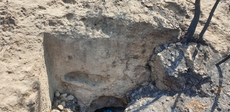 קובץ:2025-06-07T14 35 13.621411758803.jpg