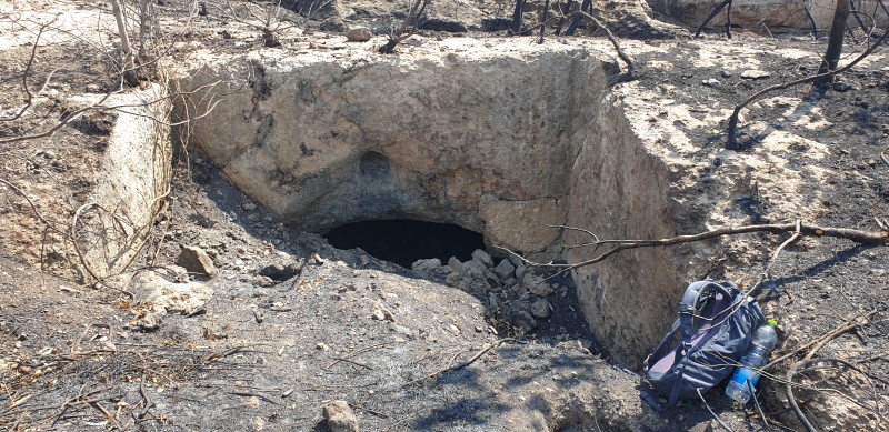 קובץ:2025-06-07T14 43 35.182919502723.jpg