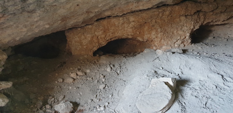 קובץ:2025-06-07T14 43 43.120997497134.jpg