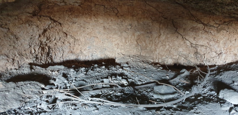 קובץ:2025-06-07T14 43 47.07152862003.jpg