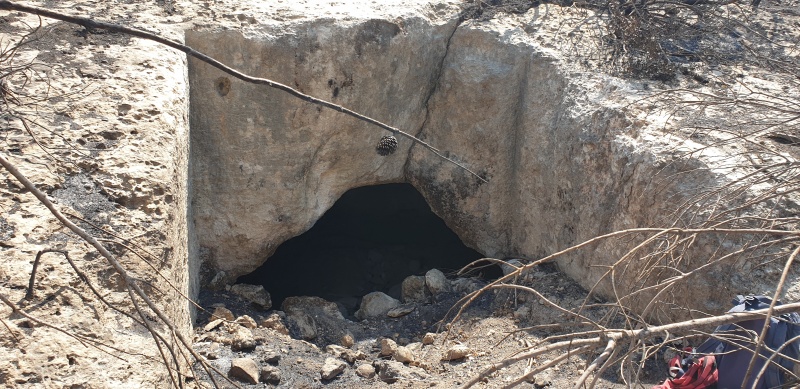 קובץ:2025-06-07T15 01 30.513471793860.jpg