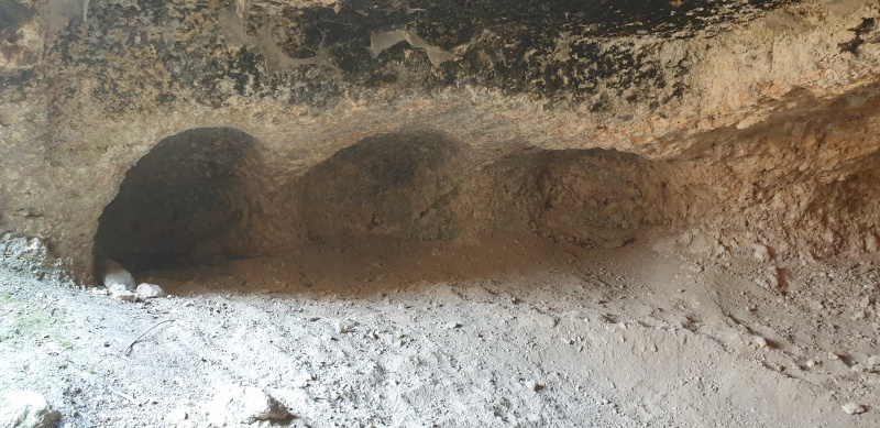 קובץ:2025-06-07T15 01 37.05640388792.jpg
