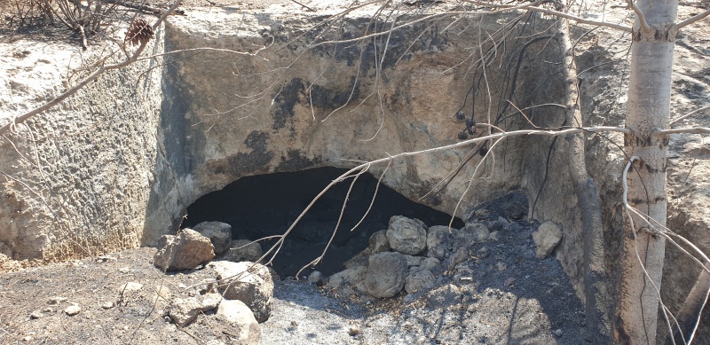 קובץ:2025-06-07T15 17 31.611914631539.jpg