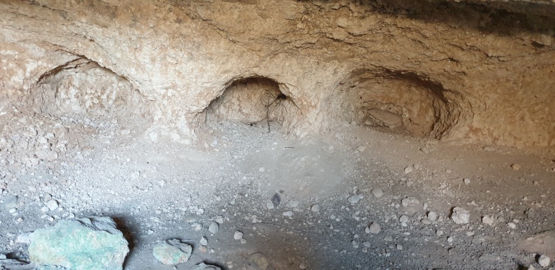 קובץ:2025-06-07T15 17 36.756906679474.jpg