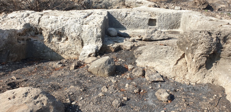 קובץ:2025-06-07T16 56 46.614370966255.jpg