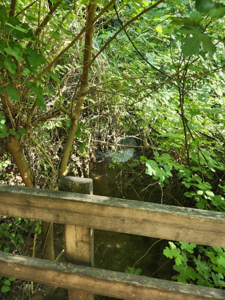 קובץ:2025-06-07T17 03 03.367465435415.jpg