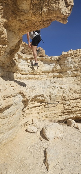 קובץ:2025-06-07T17 52 20.740233367406.jpg