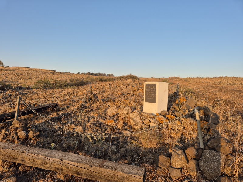 קובץ:2025-06-07T19 16 15.014799592635.jpg