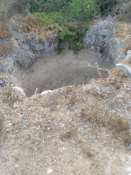 קובץ:2025-06-08T07 38 45.652835686922.jpg