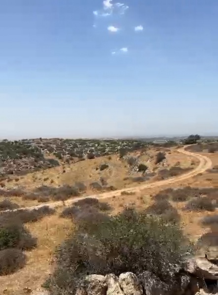 קובץ:2025-06-08T09 20 54.21853224332.jpg