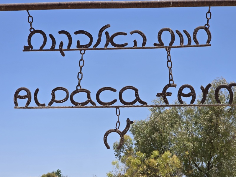 קובץ:2025-06-08T15 23 40.123204169377.jpg
