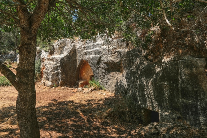 קובץ:2025-06-08T20 47 50.389887376151.jpg