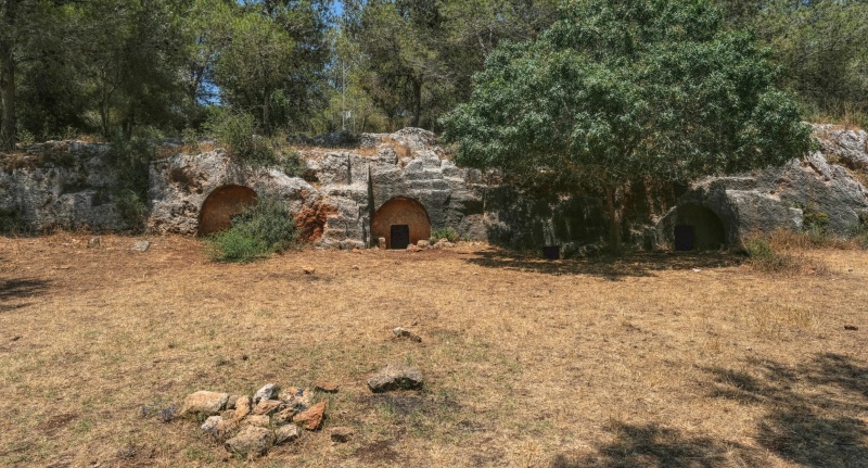 קובץ:2025-06-08T20 48 02.760164458235.jpg