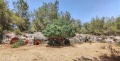 תמונה ממוזערת לגרסה מתאריך 17:26, 8 ביוני 2025