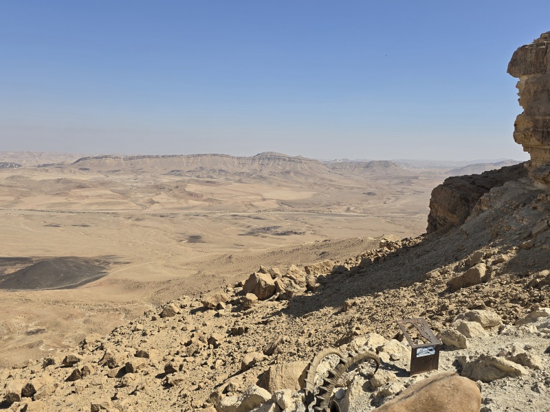 קובץ:2025-06-09T07 23 55.707219953889.jpg