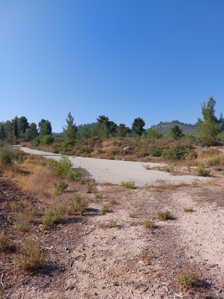 קובץ:2025-06-09T08 24 16.377989368216.jpg