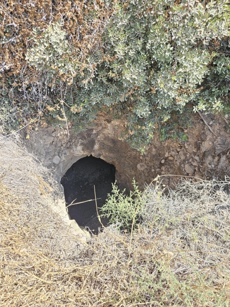 קובץ:2025-06-09T09 49 17.054392627164.jpg