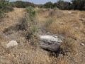 תמונה ממוזערת לגרסה מתאריך 06:31, 9 ביוני 2025