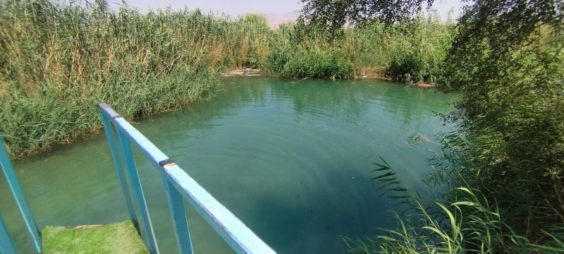 קובץ:2025-06-09T14 31 28.330148104349.jpg