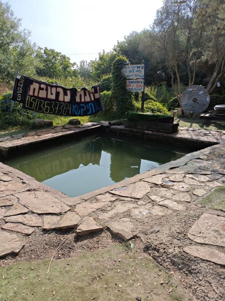 קובץ:2025-06-10T08 27 10.721630468053.jpg