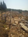 תמונה ממוזערת לגרסה מתאריך 06:32, 10 ביוני 2025