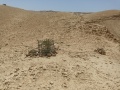 תמונה ממוזערת לגרסה מתאריך 10:49, 10 ביוני 2025