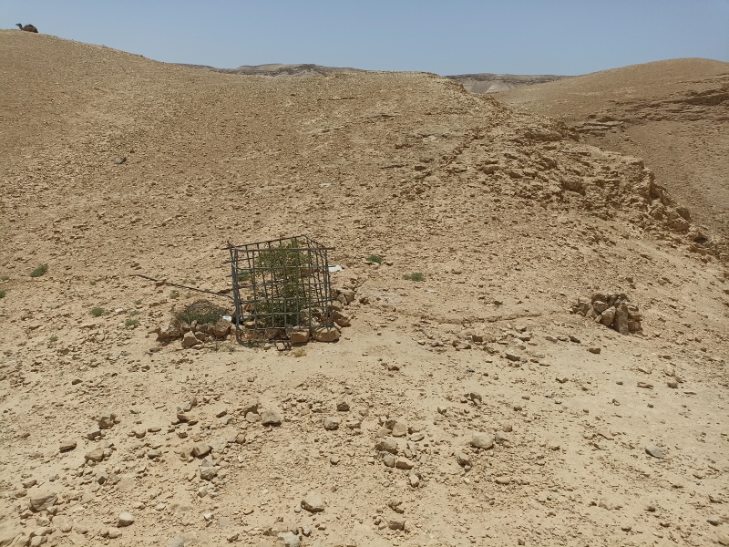 קובץ:2025-06-10T12 47 18.99851777491.jpg