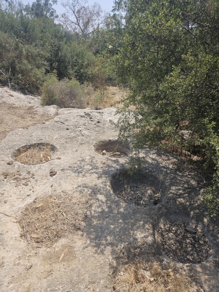קובץ:2025-06-10T14 32 26.3199795716.jpg