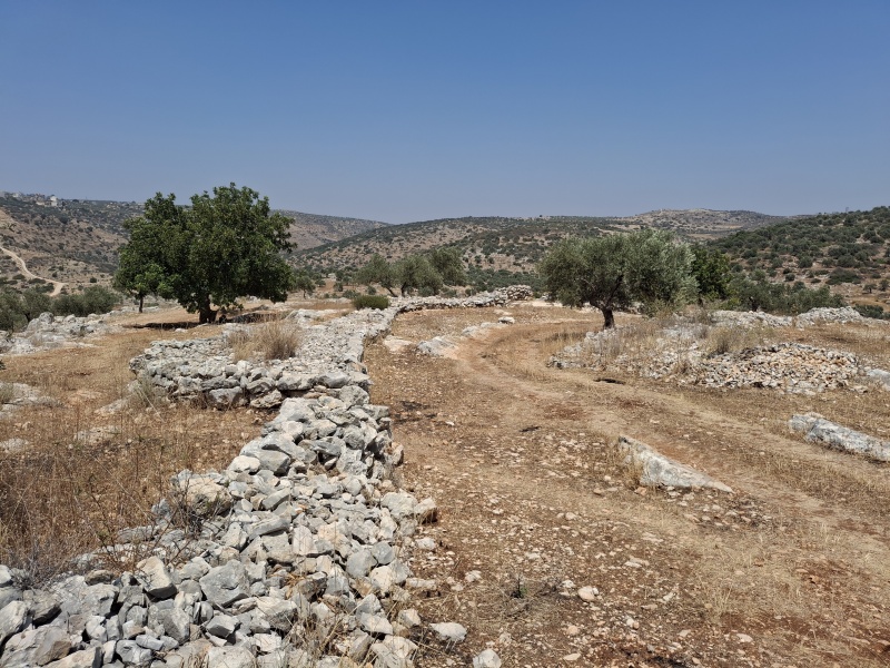 קובץ:2025-06-10T16 40 15.500392185560.jpg