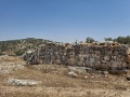 תמונה ממוזערת לגרסה מתאריך 14:00, 10 ביוני 2025