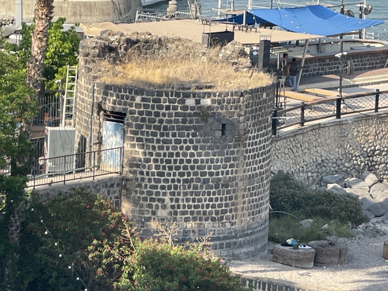 קובץ:2025-06-10T16 48 52.259726766506.jpg