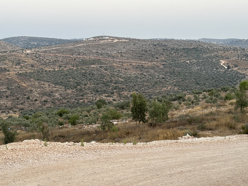 קובץ:2025-06-10T19 40 47.965023640748.jpg