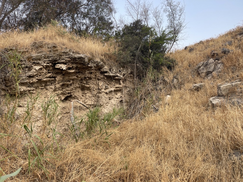 קובץ:2025-06-11T06 36 47.335415297813.jpg