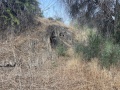 תמונה ממוזערת לגרסה מתאריך 16:07, 11 ביוני 2025