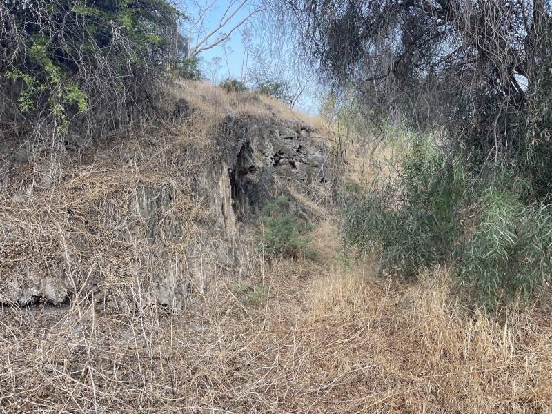 קובץ:2025-06-11T06 40 09.90017782354.jpg