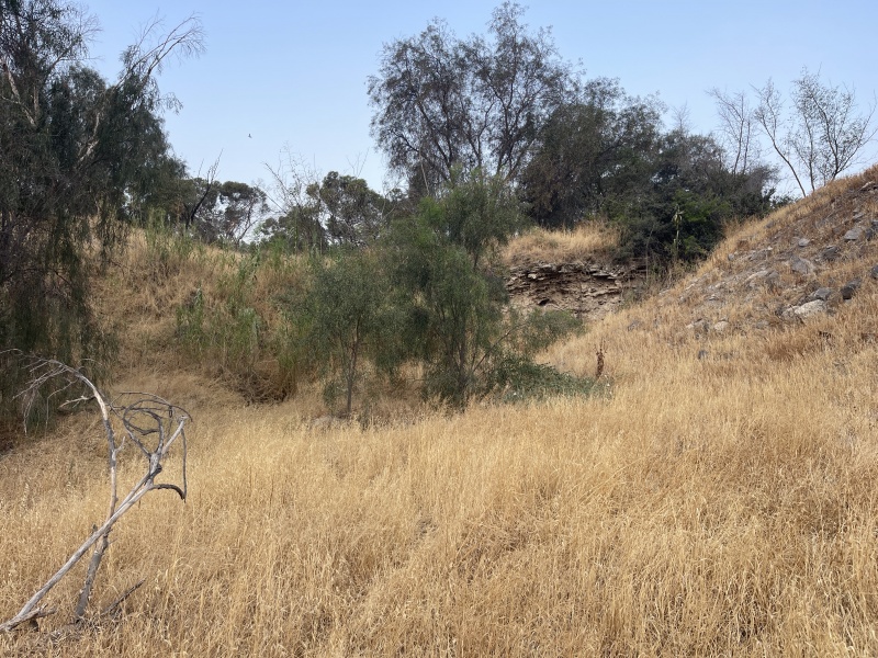 קובץ:2025-06-11T06 41 06.689975258742.jpg