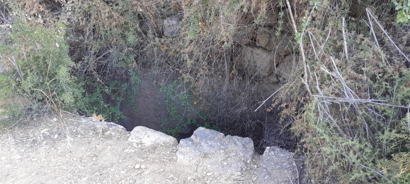 קובץ:2025-06-11T07 32 37.989948729063.jpg