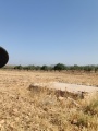 תמונה ממוזערת לגרסה מתאריך 05:23, 11 ביוני 2025