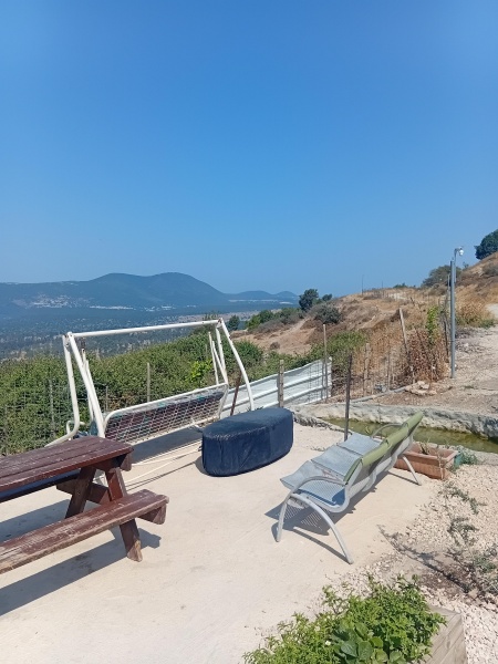 קובץ:2025-06-11T09 45 51.136028675338.jpg