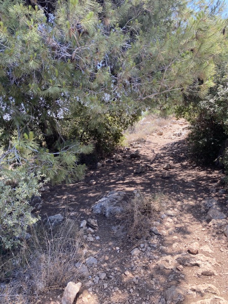 קובץ:2025-06-11T11 18 08.122023713689.jpg