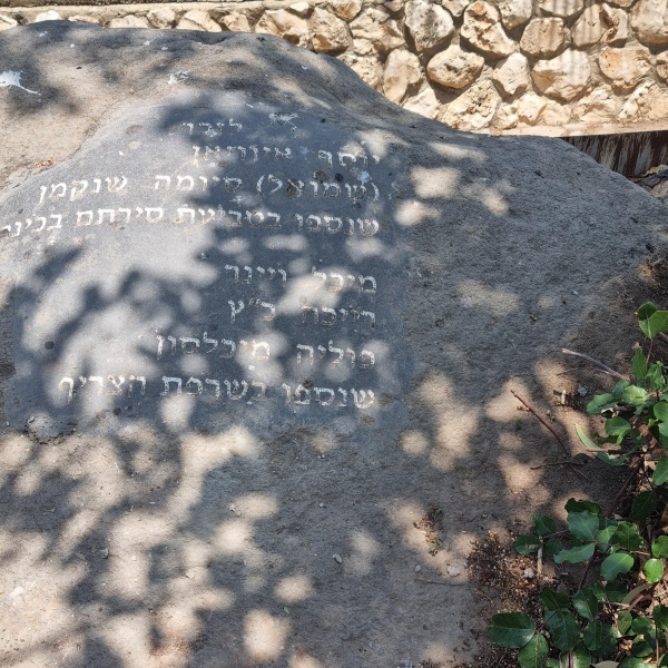 קובץ:2025-06-11T12 26 17.037880399992.jpg