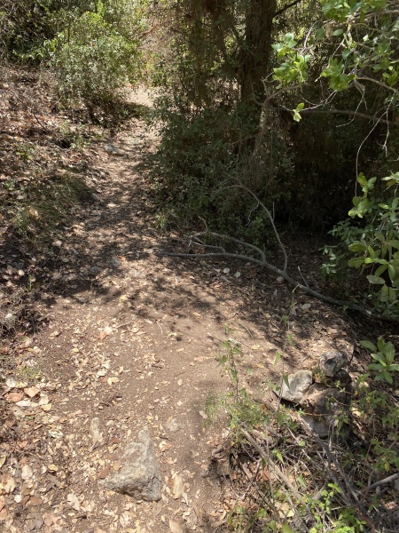 קובץ:2025-06-11T12 49 53.375659858775.jpg