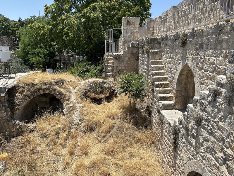 קובץ:2025-06-11T12 50 34.067252720811.jpg