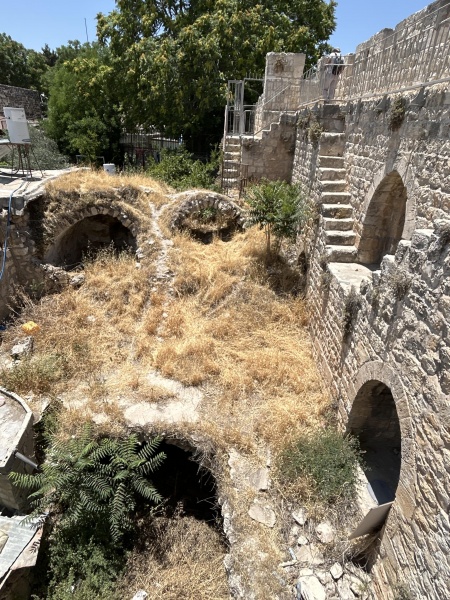 קובץ:2025-06-11T12 50 51.038110526626.jpg