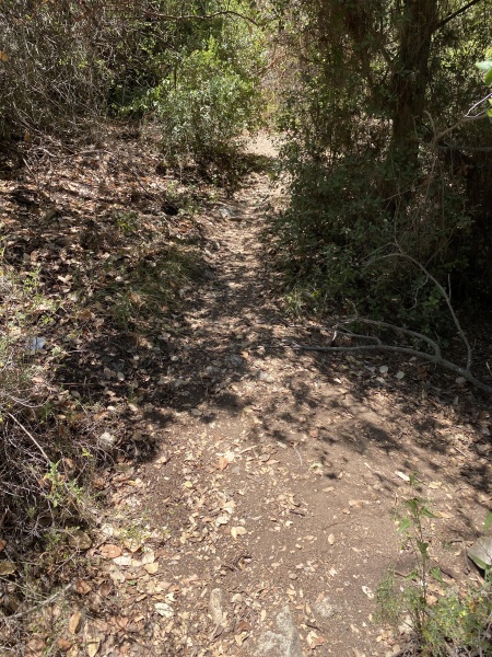 קובץ:2025-06-11T12 53 05.058568990548.jpg