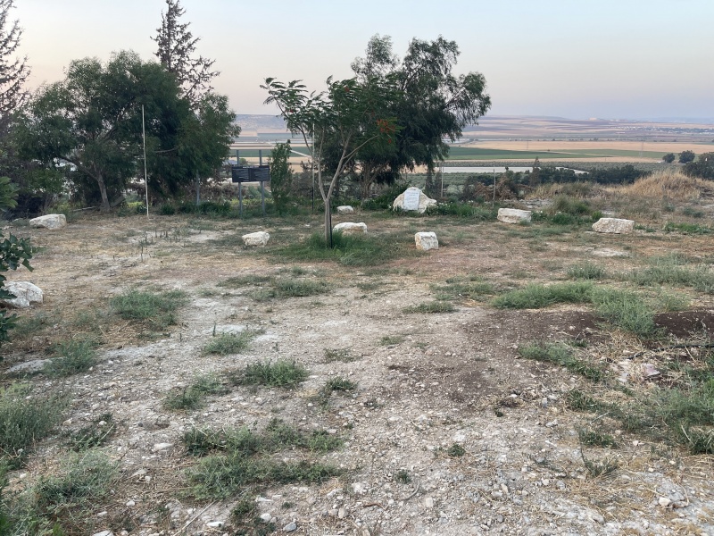 קובץ:2025-06-11T19 32 41.173348376617.jpg