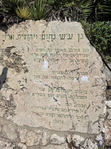 קובץ:2025-06-12T11 47 28.680396184666.jpg