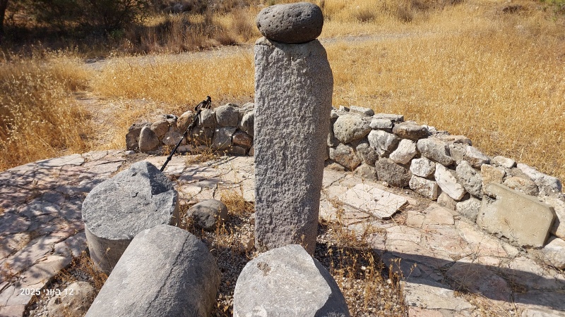 קובץ:2025-06-12T16 23 37.847165712317.jpg