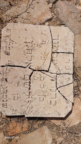 קובץ:2025-06-12T16 24 02.533591280053.jpg