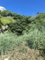 תמונה ממוזערת לגרסה מתאריך 11:29, 15 ביוני 2025
